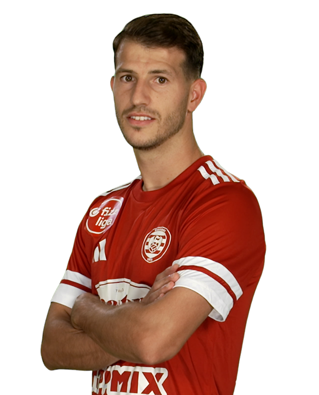 Branimir Cipetic