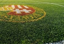 Huszonnégy gól és egy sérülés