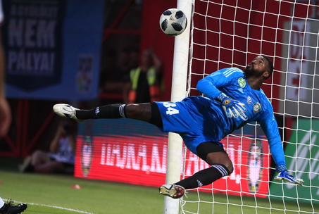 Kapusunk felfért a dobogóra