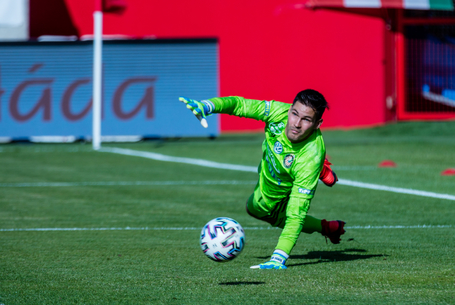 Dávid nagy visszatérése