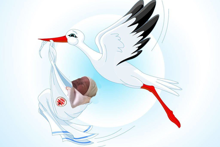 Isten hozta a kicsi Dórát!