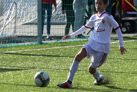 Több mint egy tucat