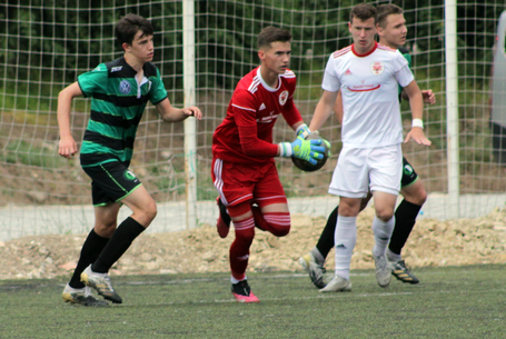 A kecske és a káposzta