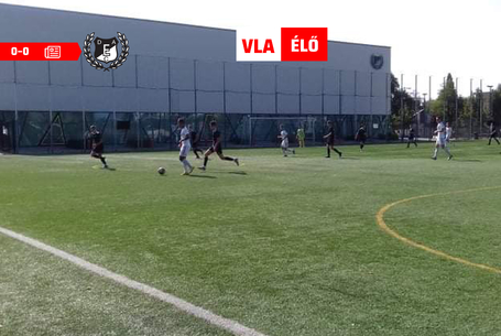 Nem rezdült a háló