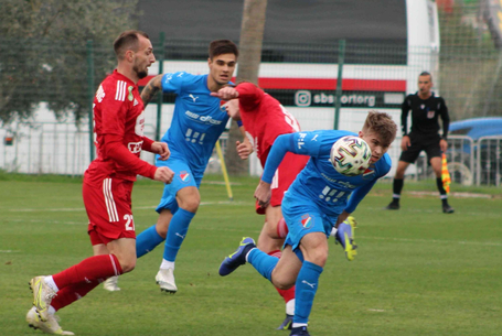 Hulló pálmafalevél