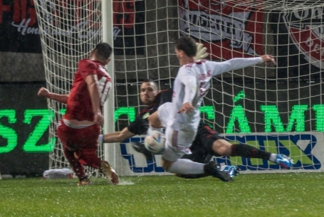 Gók nlélküli összefoglaló